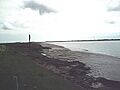 Saltings east of Tyle Barn Sluice - geograph.org.uk - 169489