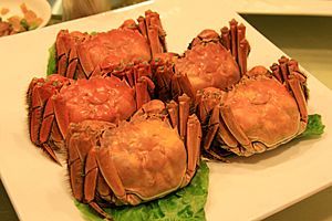 Shanghai hairy crab (4178989634)