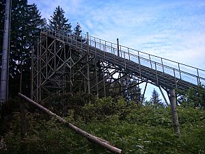 Ski Jump Felsenschanze Scheidegg 02