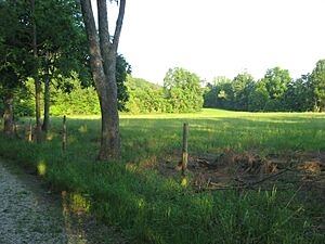 Southern edge of Swan's Landing