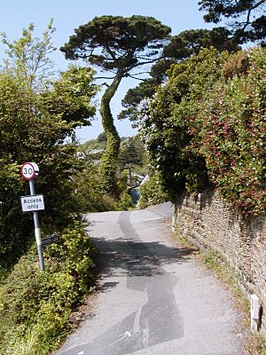 St Mawes Riviera Lane