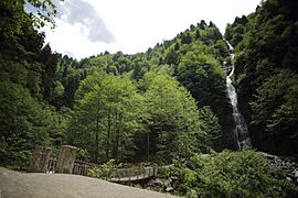 Tar Creek Waterfall View