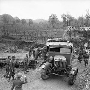 The British Army in Italy 1943 NA10156