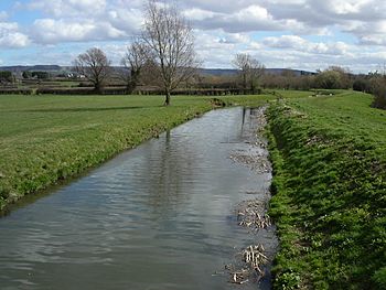 The river Cam in Gloucestershire - geograph.org.uk - 146519.jpg