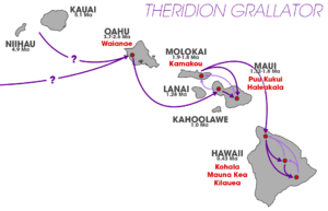 Theridion grallator colonization pattern (Hawaiian volcano populations)
