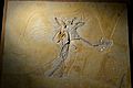Thermopolis Archaeopteryx