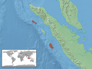 Trimeresurus brongersmai distribution.png