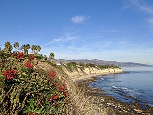 View north from Point Dume State Beach