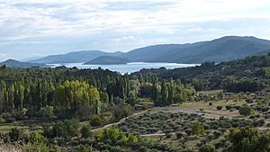Vista del embalse de Entrepeñas desde Chillarón del Rey (5076315284).jpg
