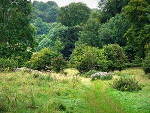 Whitcombe Bottom - geograph.org.uk - 946390