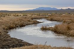 White River Nevada 4.jpg