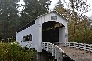 Wildcat Bridge (Lane County, Oregon)