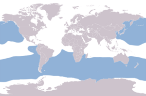 Albatrosses distribution map.png