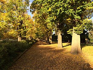 Albury Botanic Gardens (06)