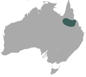 Allied Rock Wallaby area.png