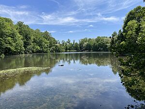 Alverthorpe Park pond in Abington Township PA