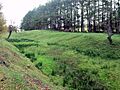Antonine Wall near Westerwood - geograph.org.uk - 1523012
