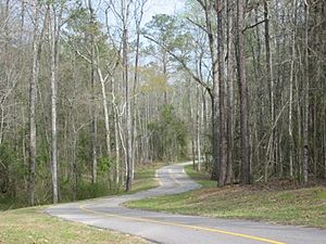 Auburn-biking-trail