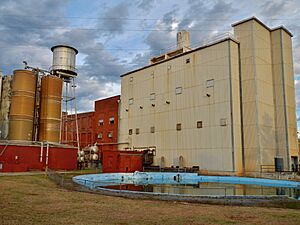 Avondale Historic District (Alexander City, Alabama)