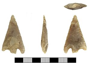 BARBED AND TANGED ARROWHEAD (FindID 969304)