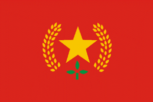 Bandera FPRM Manipur