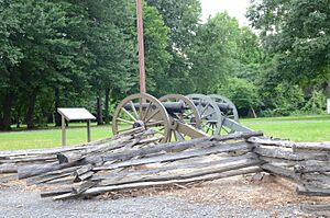 Bayou Meto (Reed's Bridge) Battlefield, US Cannons