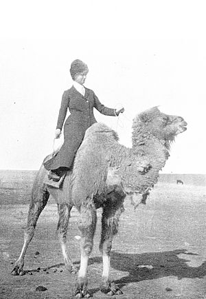 Beatrix Bulstrode (Mrs. Edward Manico Gull) on a camel.jpg