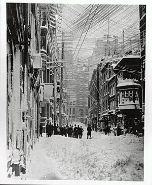 Blizzard 1888 01