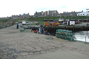 Boddam Harbour Aberdeenshire.jpg