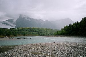 Bulkley River flowing into Skeena River near Hazelton, British Columbia