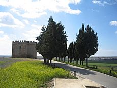 Castillo de Doña Blanca