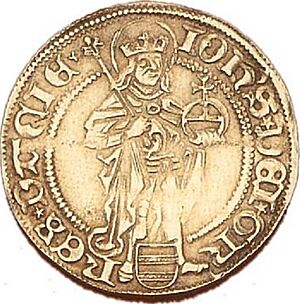 Coin of King Hans (John II of Sweden) 1497