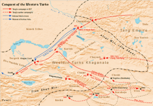Conquest of Western Turks