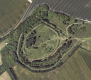 Danebury Fort - aerial image, Hampshire Data Portal.jpg