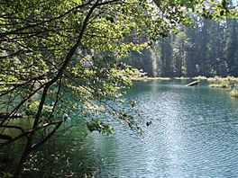 Donaca Lake.jpg