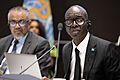 Election of the WHO Regional Director for the African Region