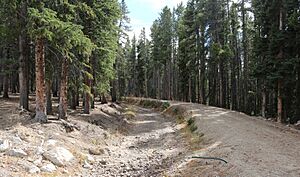 Ewing Ditch (Colorado)