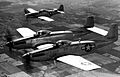 F-82 and P-51 in formation (060728-F-1234S-017)