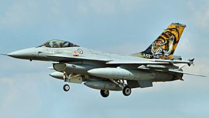 F16 - RIAT 2014 (cropped)