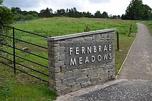 Fernbrae Meadows June 2019 JPEG Image Height 720px m186333