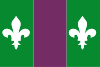 Flag of Sant Julià de Cerdanyola
