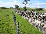 Hadrian's Wall at Birdoswald - geograph.org.uk - 552095