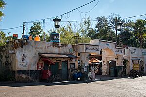 Harambe Market (28412555607)