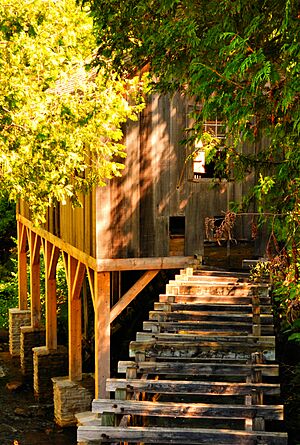 Historic Mill Creek Michigan