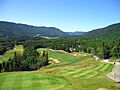 Humber Valley Golf
