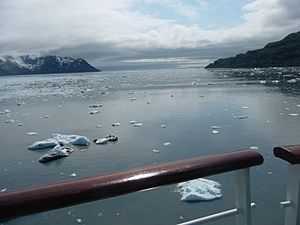 Icebergs in the Yakutat Bay