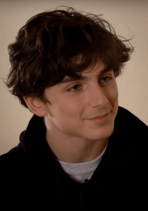 A photograph of Timothée Chalamet smiling away from the camera