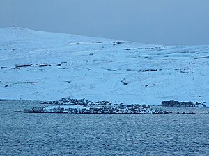 Iron Age Fort, Loch of Huxter, Whalsay, Shetland - geograph.org.uk - 132089