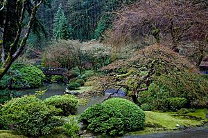 Japanese Garden -1.jpg
