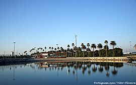 Jardim Oudinot - Gafanha da Nazaré - Portugal (15006859878).jpg